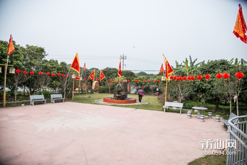 DSC_0776.jpg