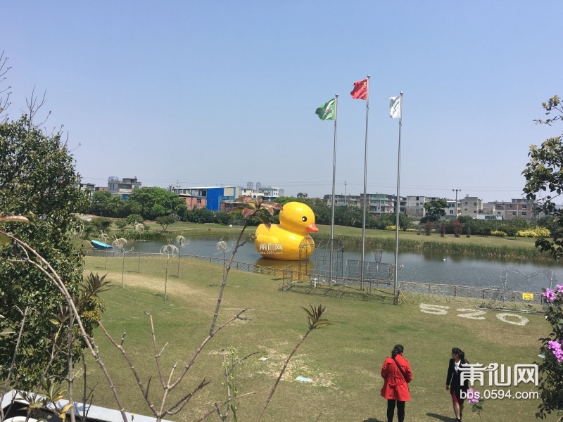 IMG_1064.JPG