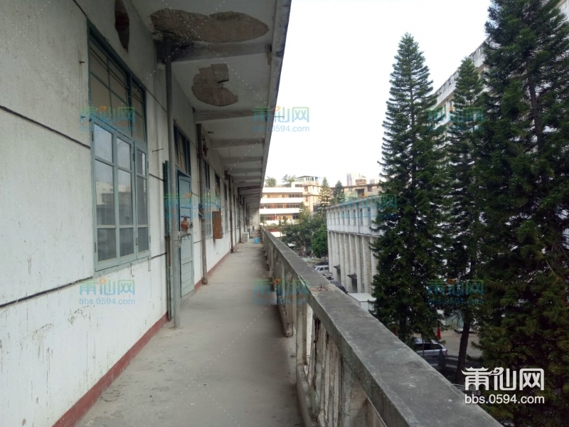 QQ图片20170405085830_1.jpg