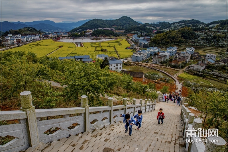 3月油菜花3._MG_3151.jpg