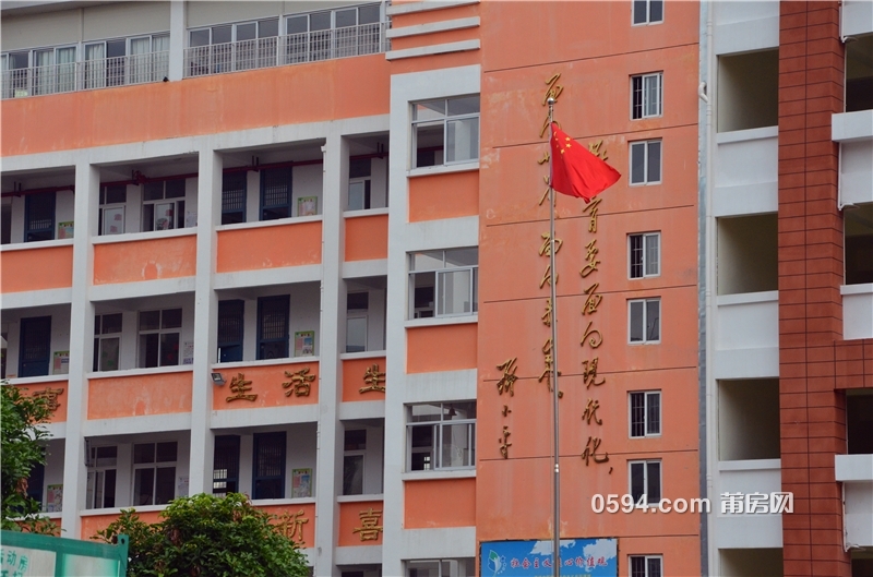 太平小学东部校区图片