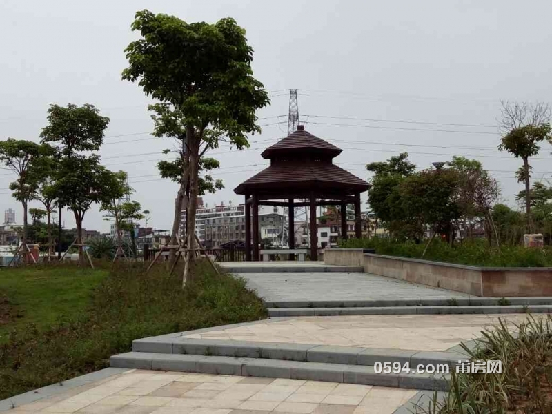 592798f053988.jpg