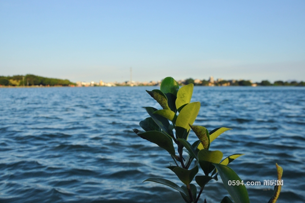 DSC_0083.jpg