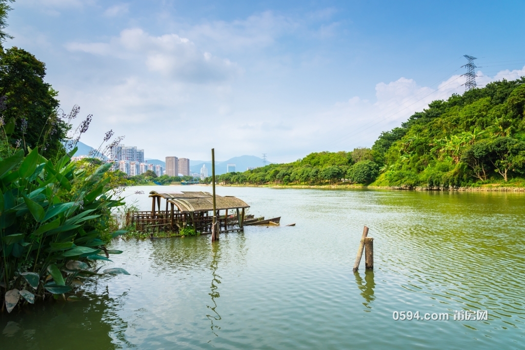 行走一夏莆田王牌绶溪公园博物馆过溪桥夏荷