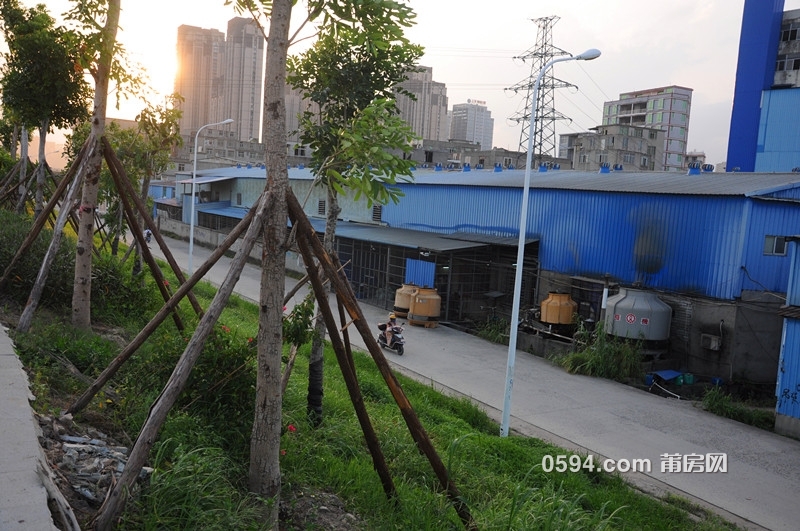 DSC_0068_副本.jpg