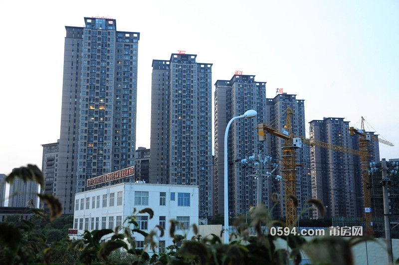 DSC_0079_副本.jpg