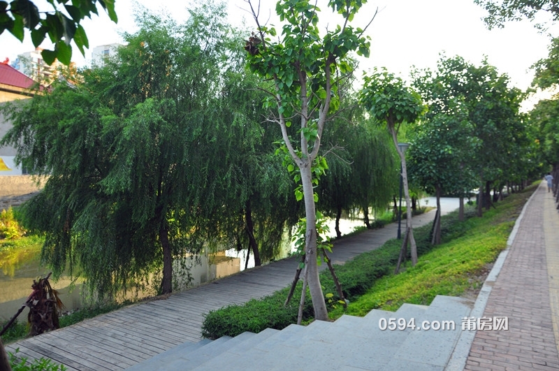 DSC_0063_副本.jpg