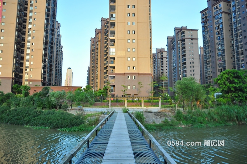 DSC_0077_副本.jpg