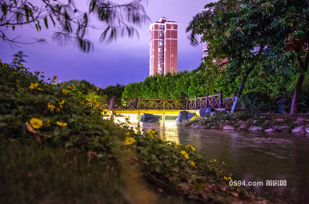 昆山玉湖公园夜景图片