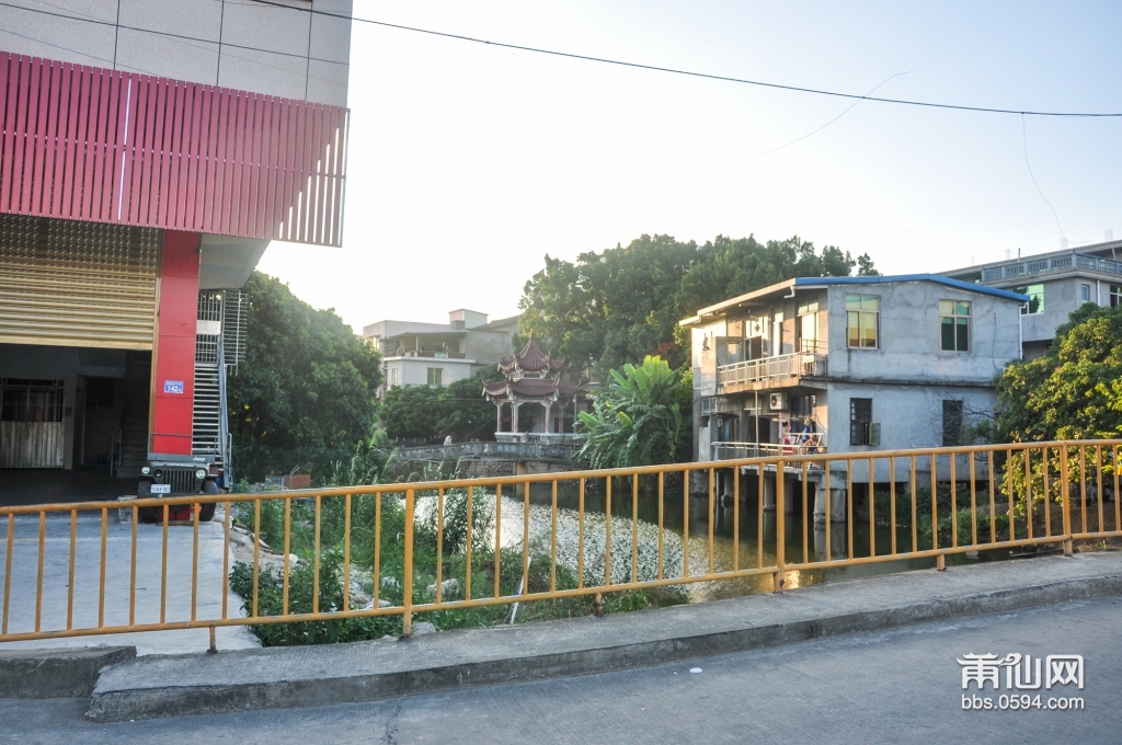 DSC_0080.jpg