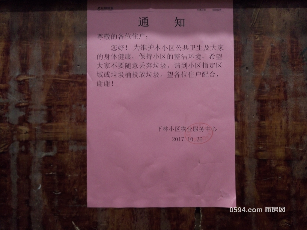 P71027-152635.jpg