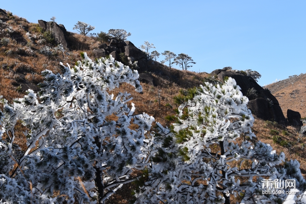 DSC_3198.JPG