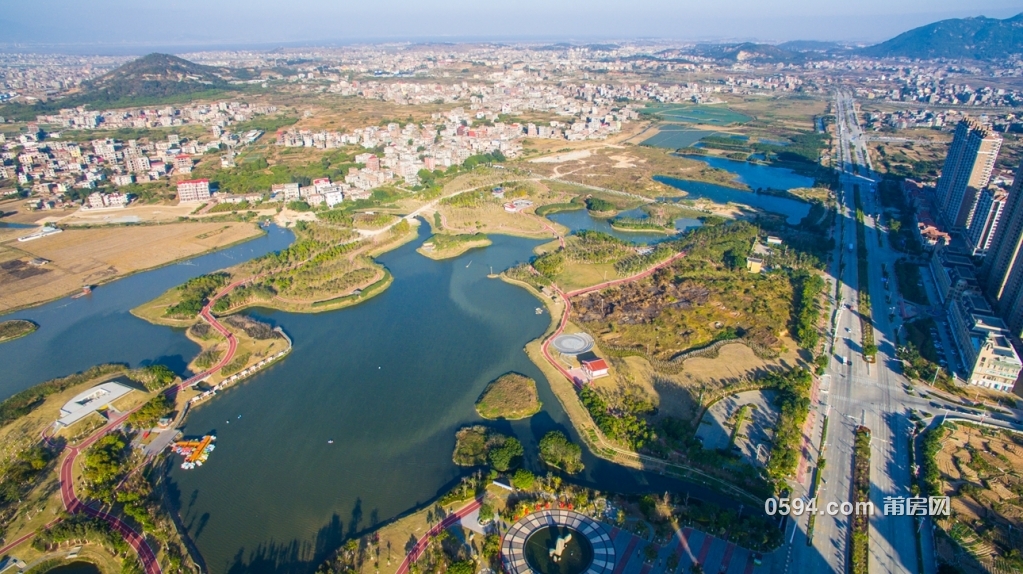 莆田土海湿地公园图片