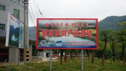 媒体下5.jpg