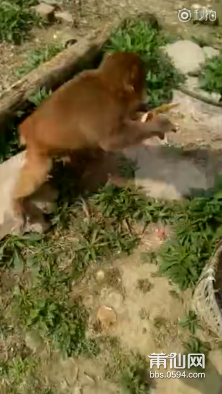 QQ截图20180325082021.png