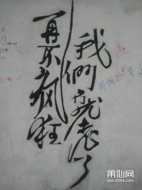 东庄郑少 (53).jpg