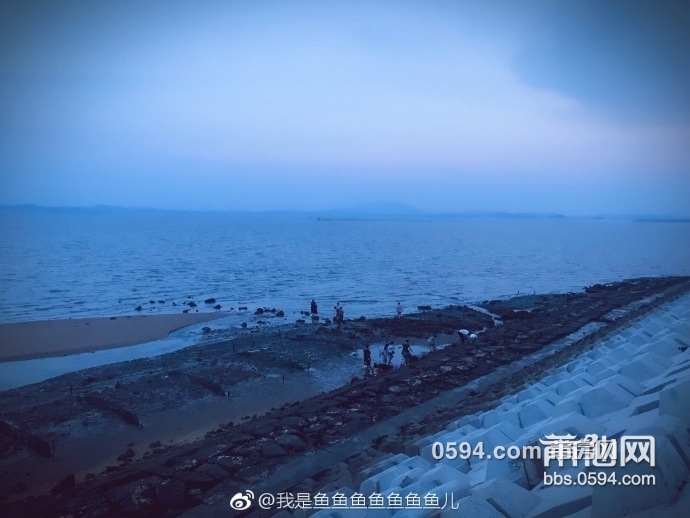 海3.jpg