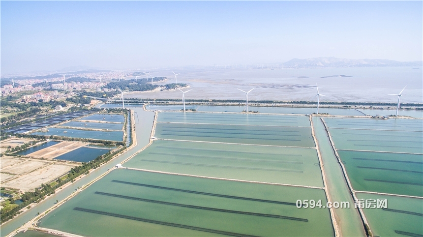 福建莆田忠门镇土豪村图片