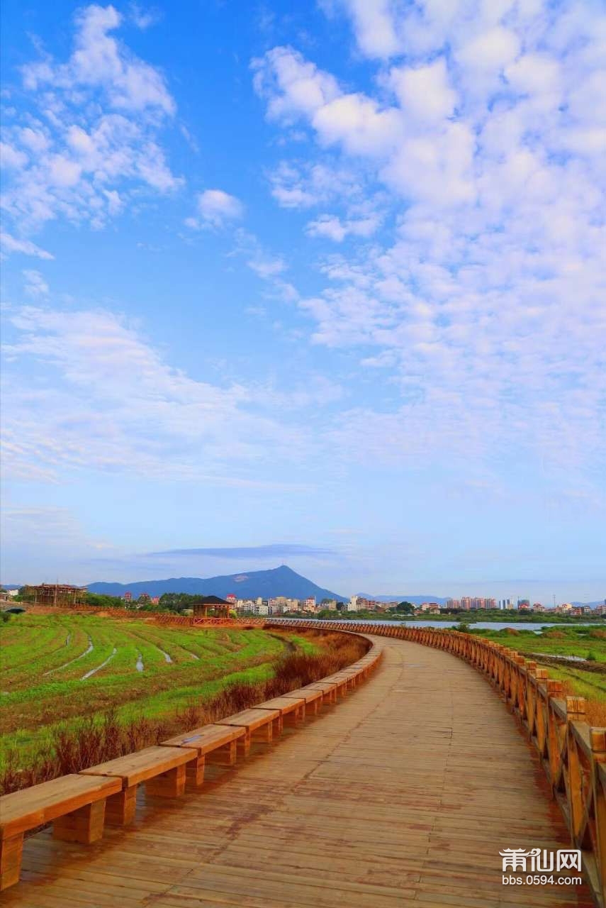 莆田土海湿地公园图片