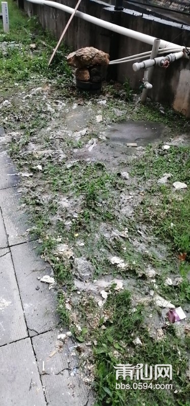 微信图片_20190528093902.jpg