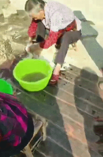 微信图片_20200229092831.gif