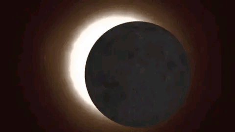 微信图片_20200620152527.gif