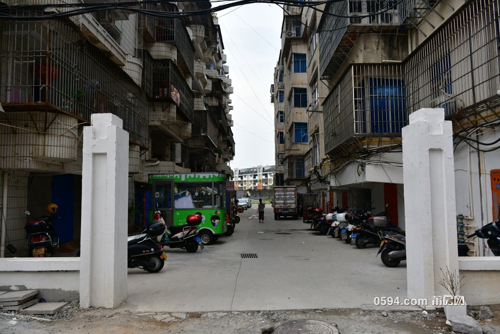 DSC_4211.JPG