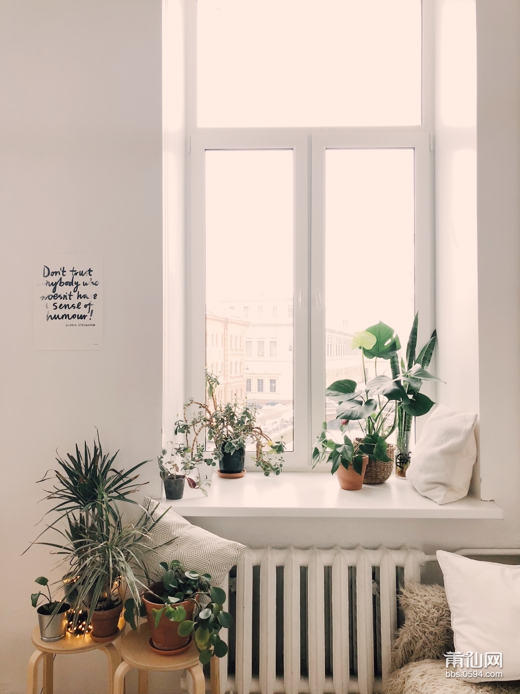 photo-of-green-leaf-potted-plants-on-window-and-stand-930004.jpg