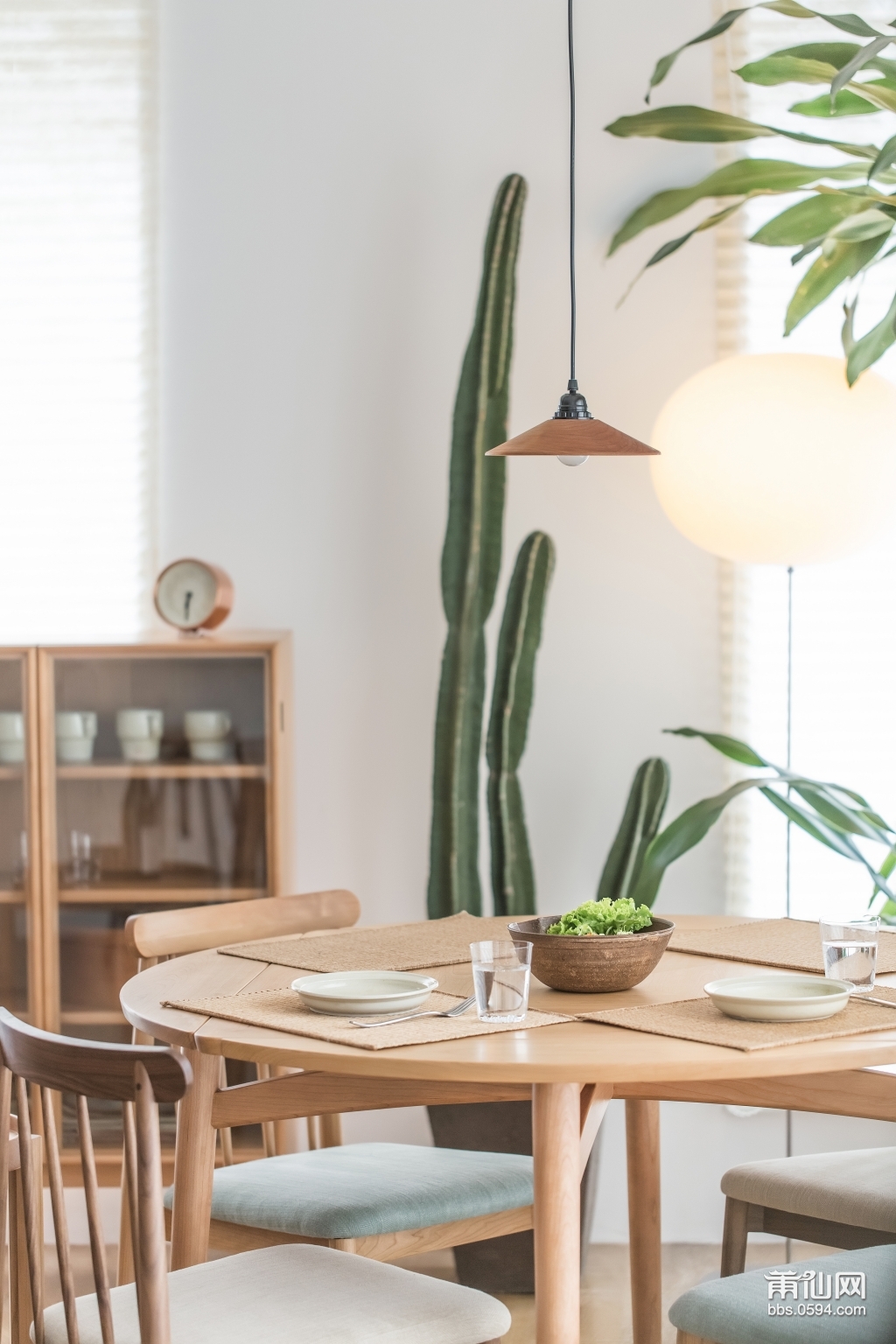 green-cactus-plant-near-to-white-ceramic-plate-on-brown-154161.jpg