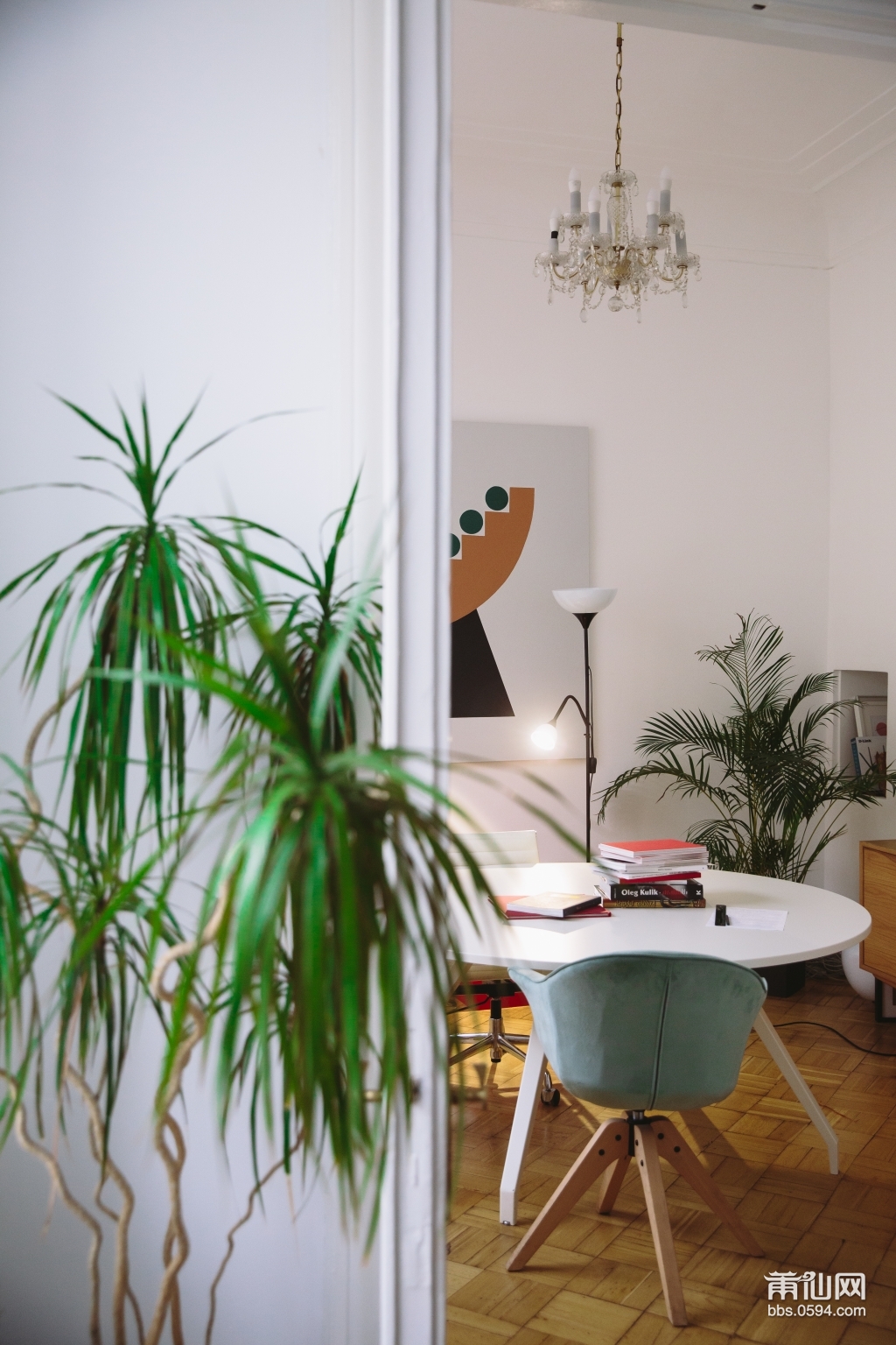 green-indoor-plant-beside-a-round-white-table-3747416.jpg