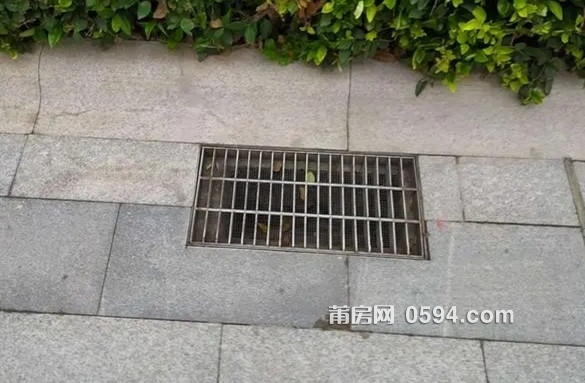 u=3435065512,450255299&amp;fm=253&amp;fmt=auto&amp;app=138&amp;f=JPEG.webp_副本.jpg
