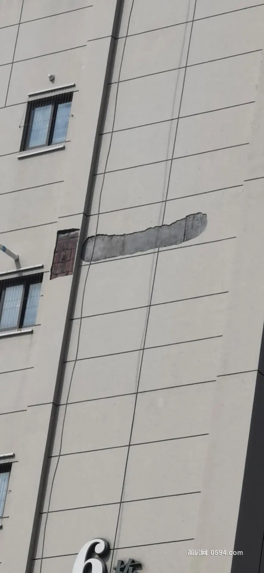 o1.jpg