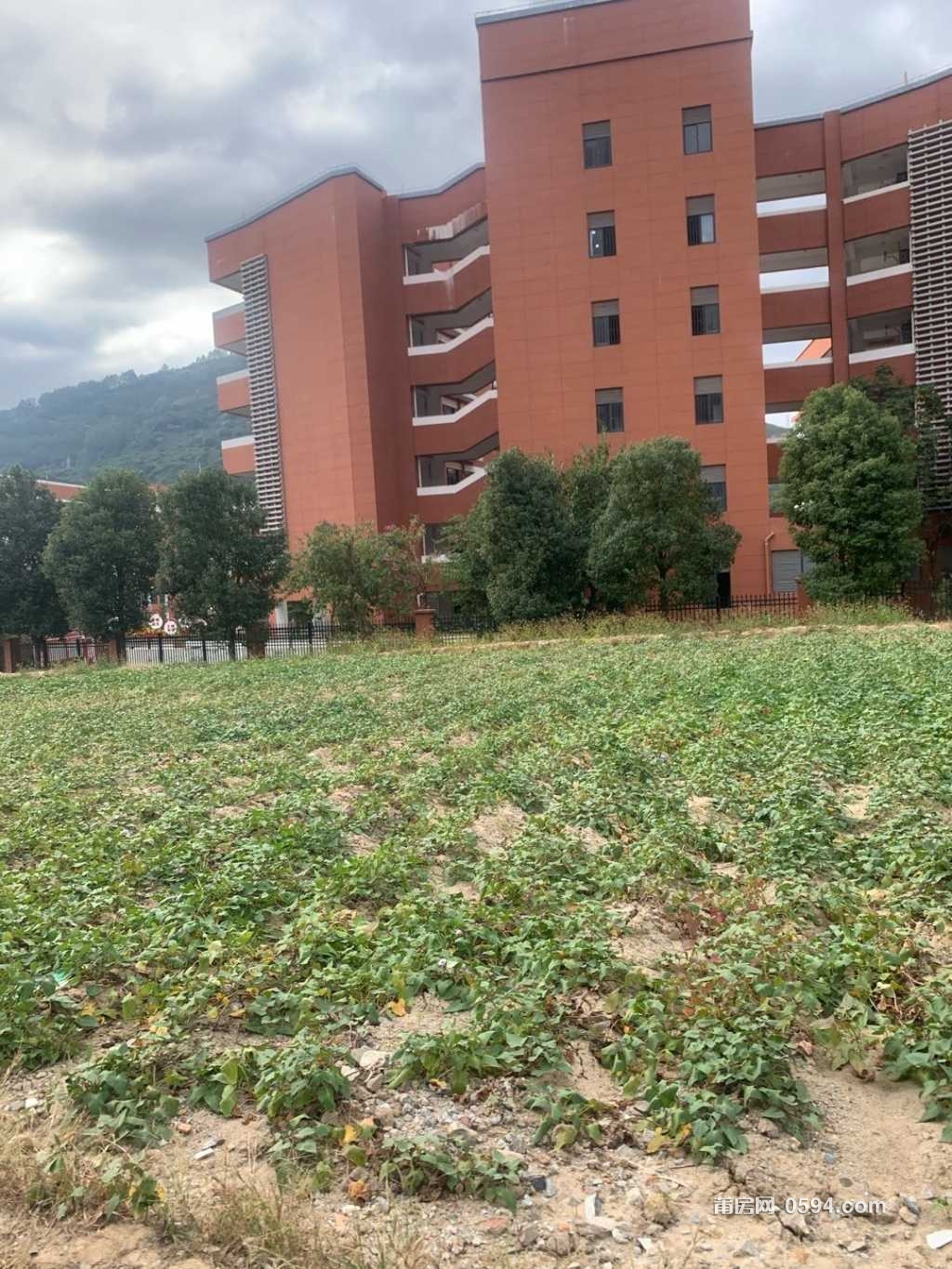 1700890338-compressed-IMG_4616.jpg