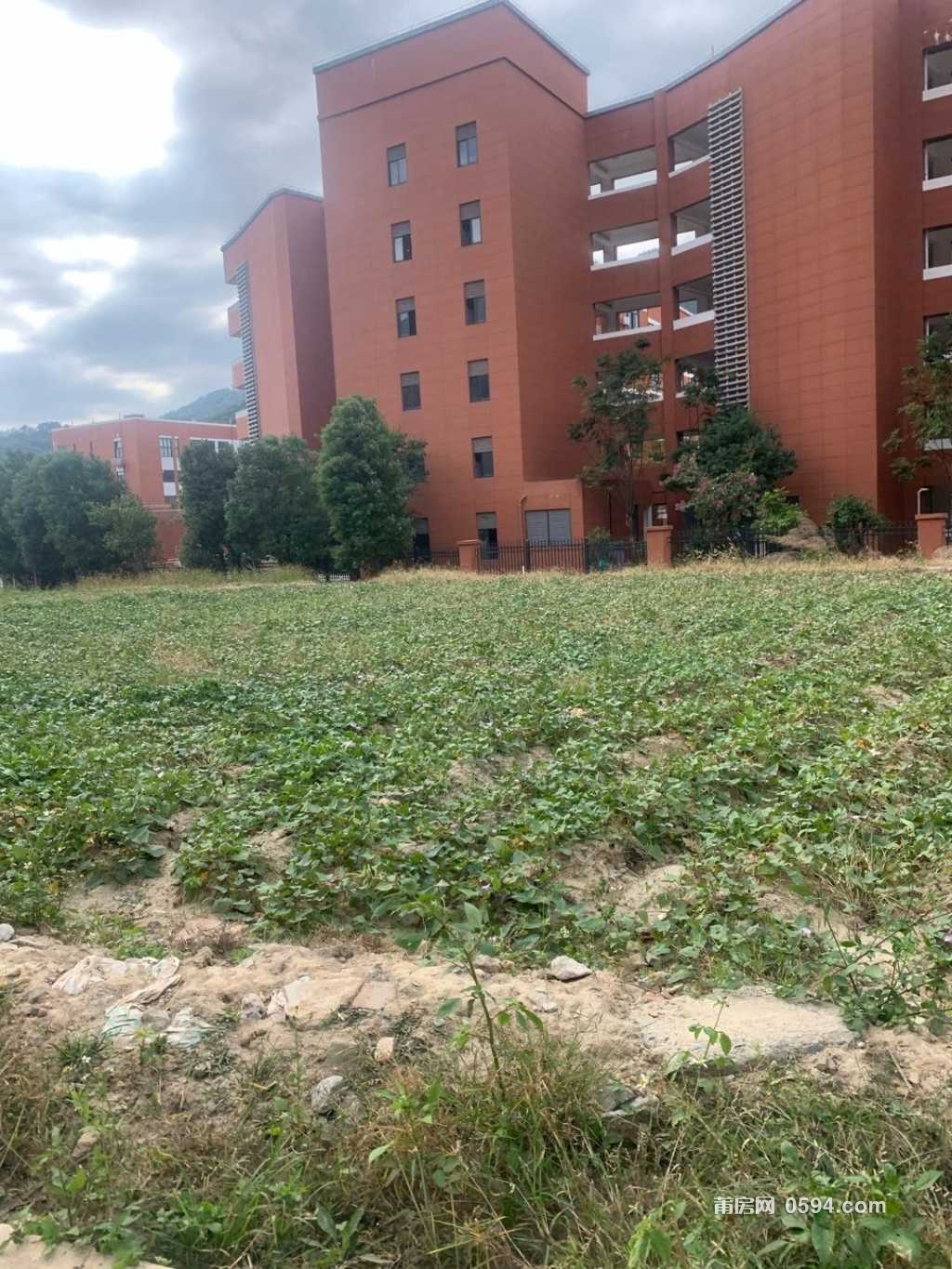 1700890331-compressed-IMG_4615.jpg