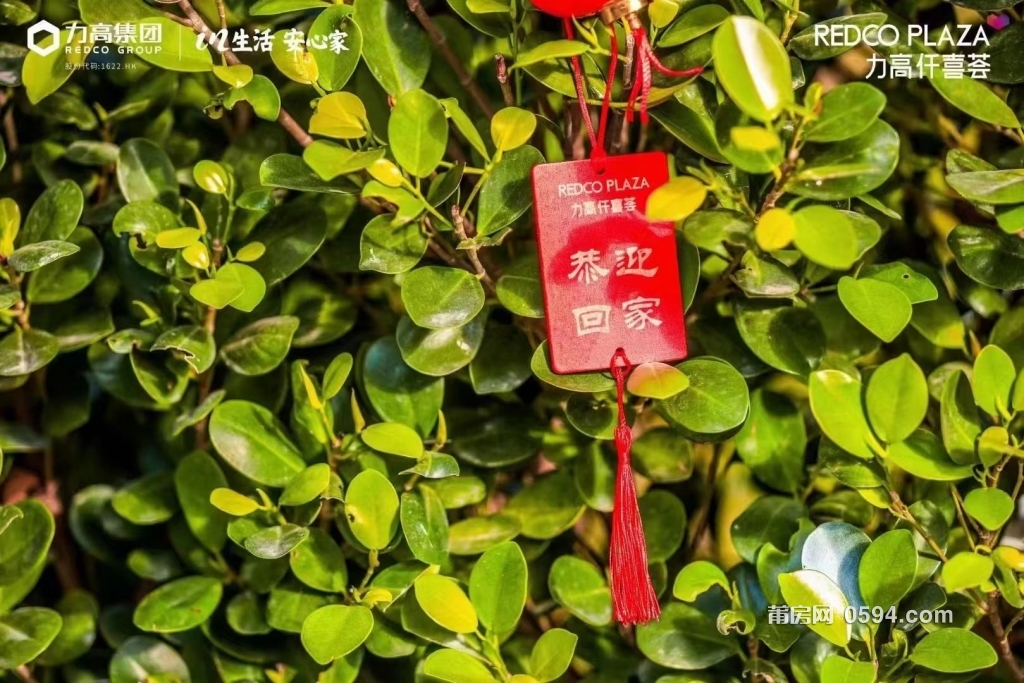 微信图片_20231220105934.jpg