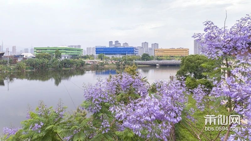 微信图片_20250509150922.jpg