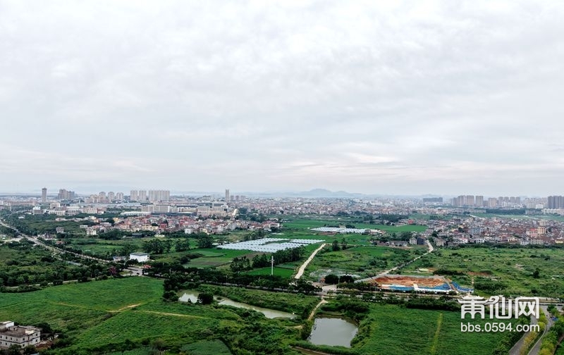 DJI_20250527170542_0023_D_副本_副本.jpg