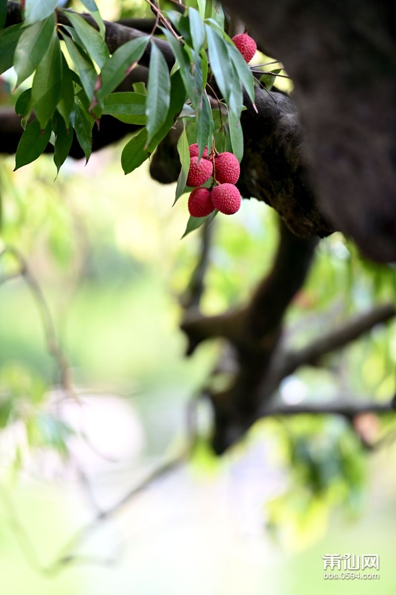 DSC_1357_副本_副本.jpg