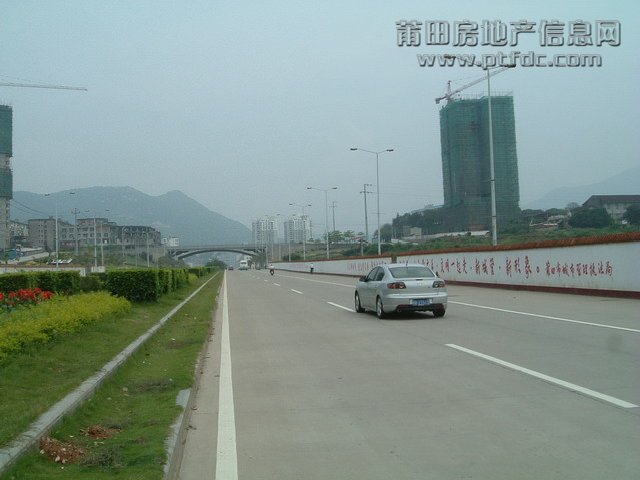 东圳路随拍 (2).jpg