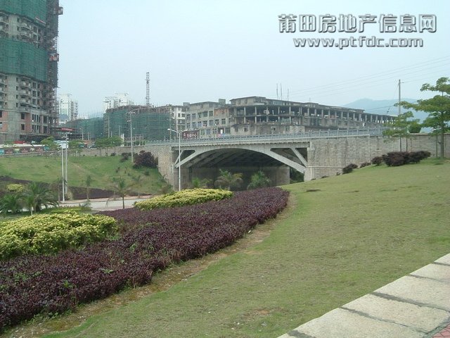 东圳路随拍 (4).jpg