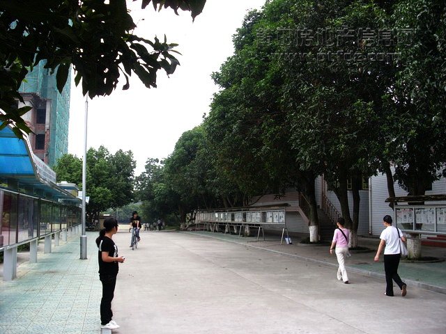 莆田学院随拍.JPG