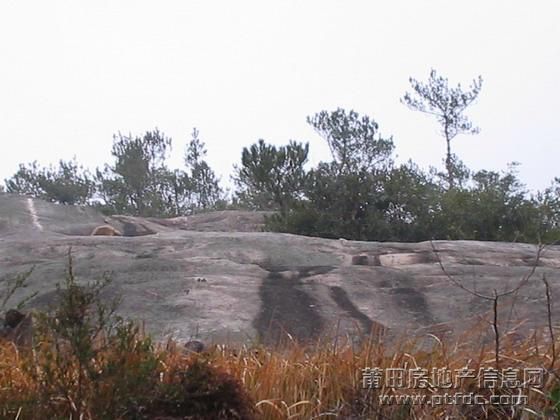 f-(6).jpg