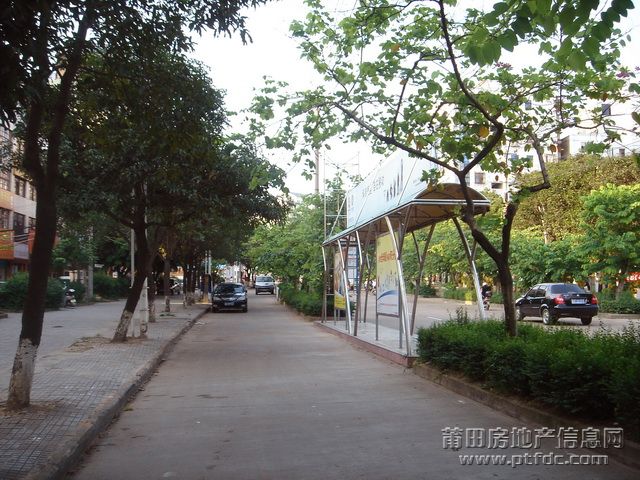 下磨路至文献西路随拍45.JPG