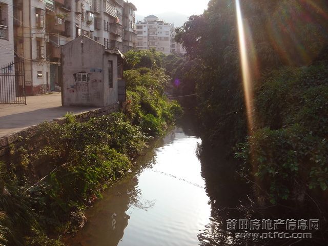 下磨路至文献西路随拍44.JPG