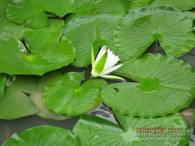莆田随拍 (18).jpg