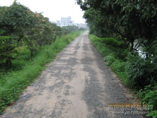 莆田随拍 (11).jpg
