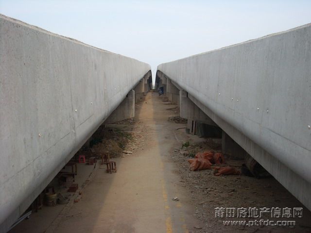 SL375461.JPG