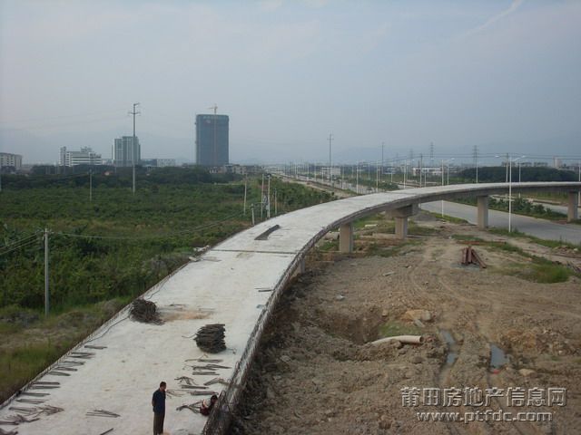 SL375467.JPG