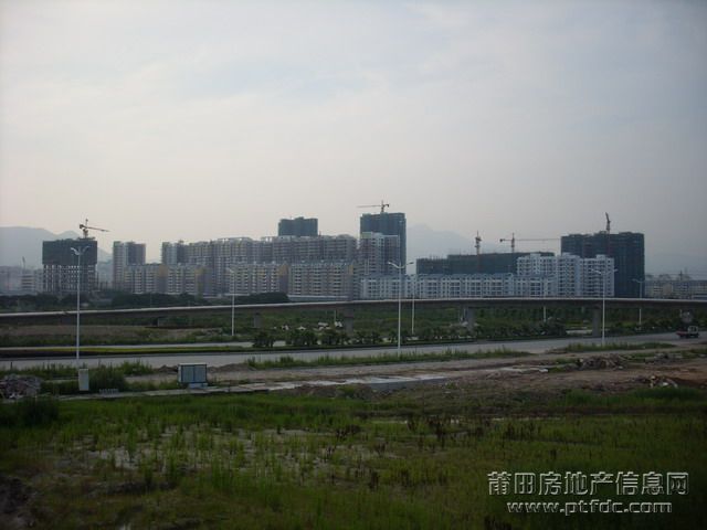 SL375475.JPG