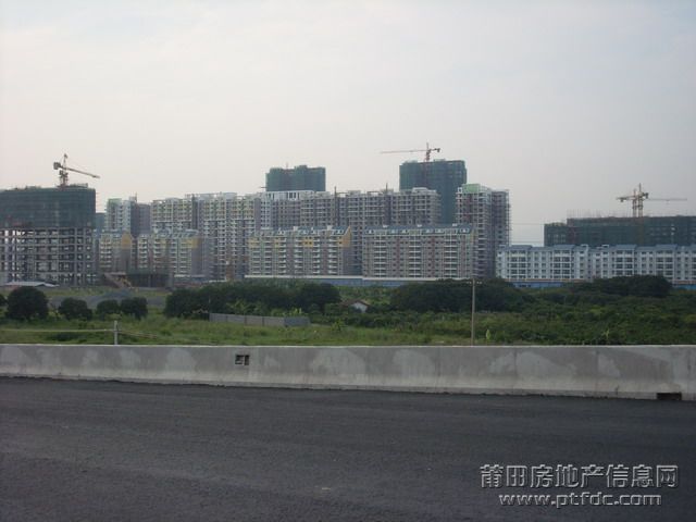 SL375466.JPG